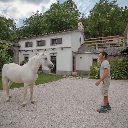 Tmbin'S Barn - Nature, Horses, Family Sežana المظهر الخارجي الصورة