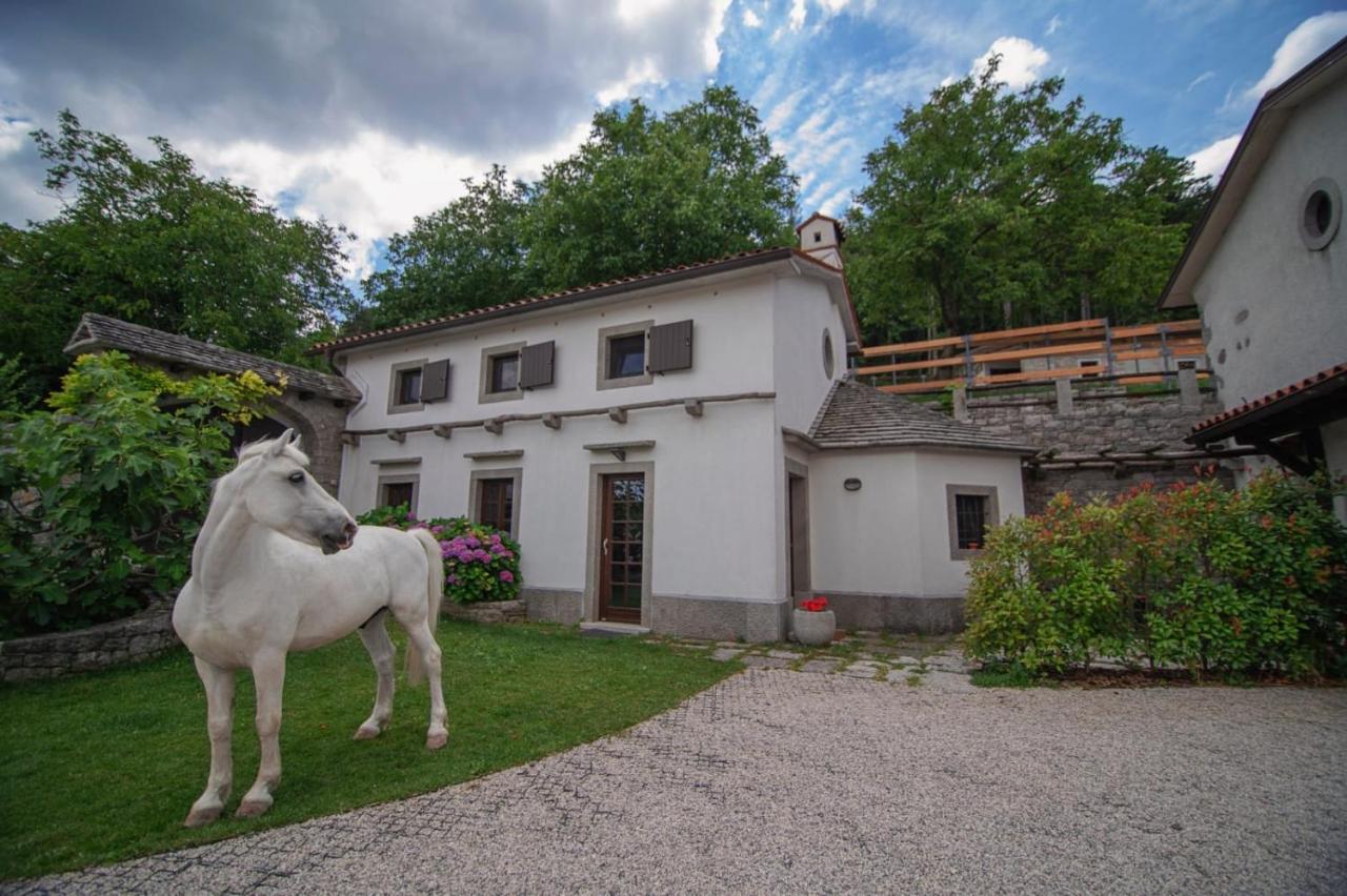 Tmbin'S Barn - Nature, Horses, Family Sežana المظهر الخارجي الصورة