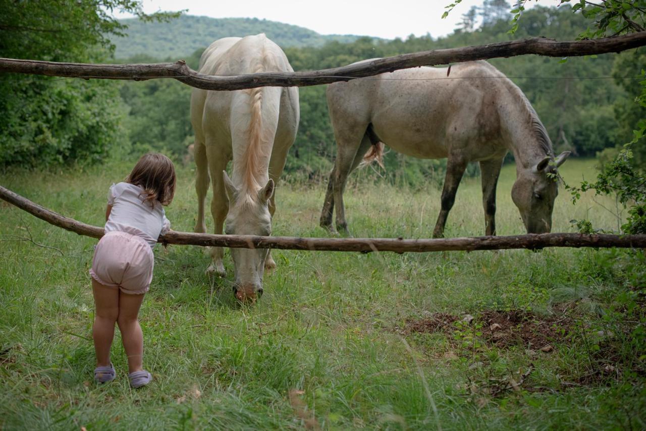 Tmbin'S Barn - Nature, Horses, Family Sežana المظهر الخارجي الصورة