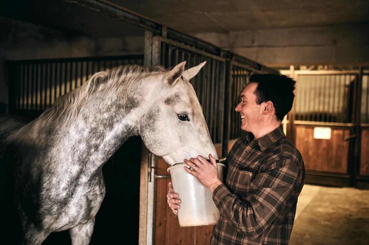 Tmbin'S Barn - Nature, Horses, Family Sežana المظهر الخارجي الصورة