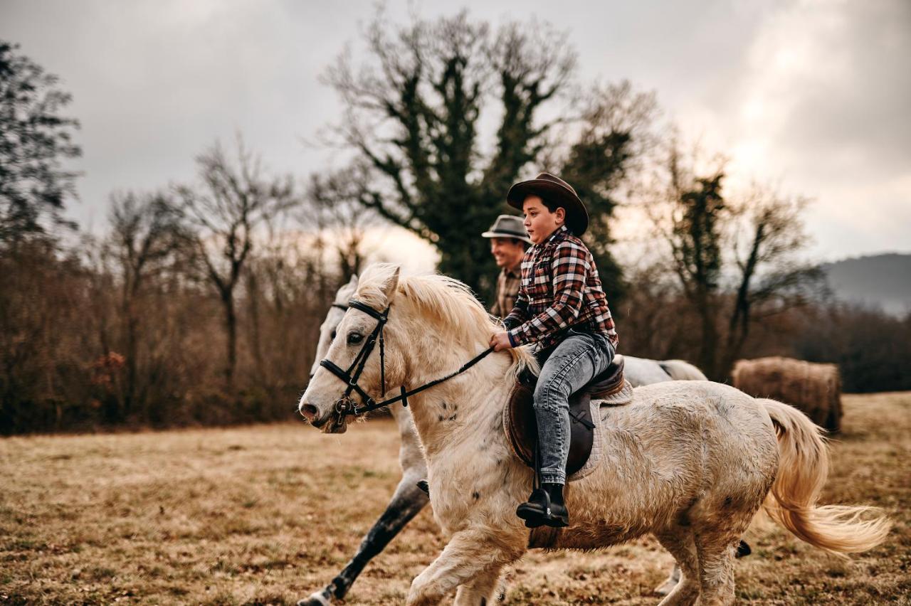 Tmbin'S Barn - Nature, Horses, Family Sežana المظهر الخارجي الصورة