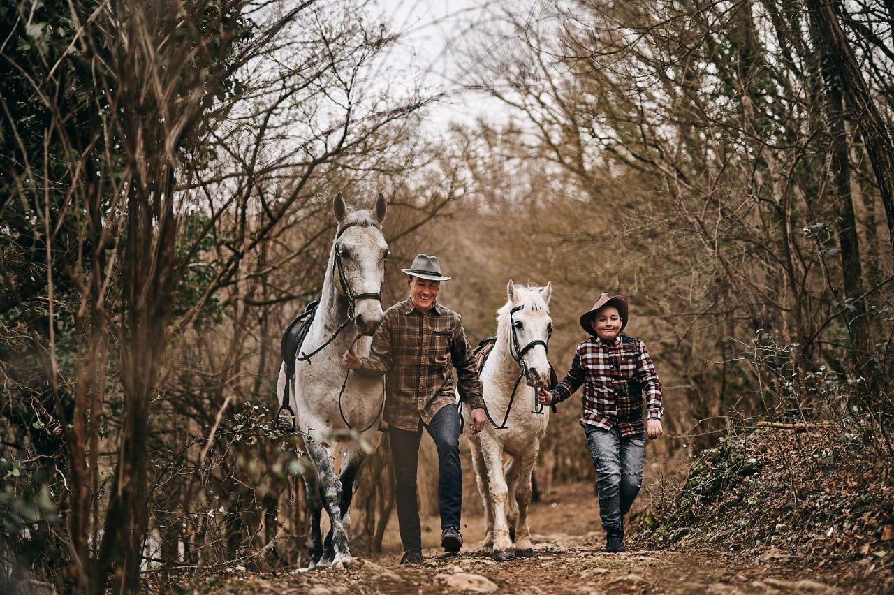 Tmbin'S Barn - Nature, Horses, Family Sežana المظهر الخارجي الصورة