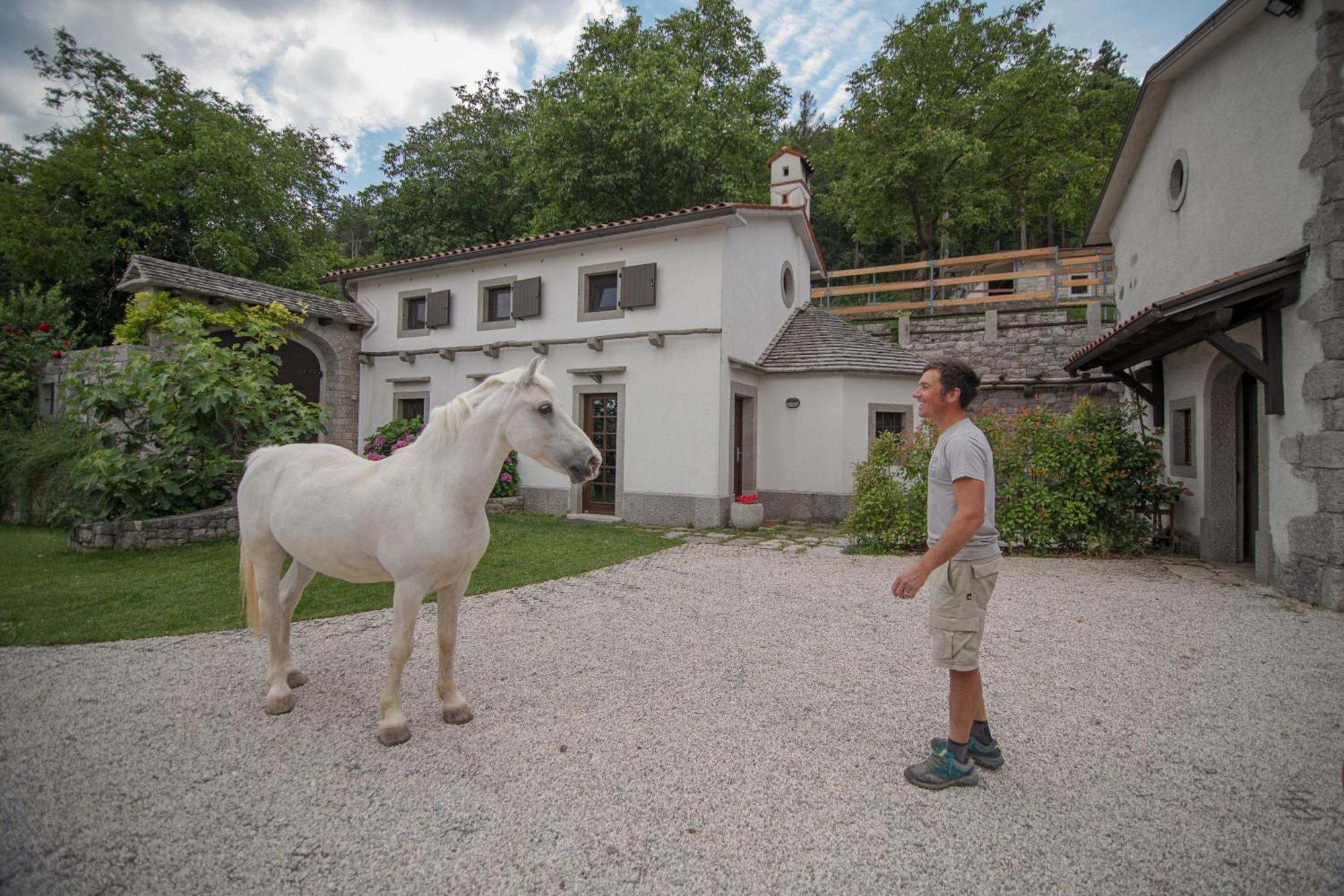 Tmbin'S Barn - Nature, Horses, Family Sežana المظهر الخارجي الصورة
